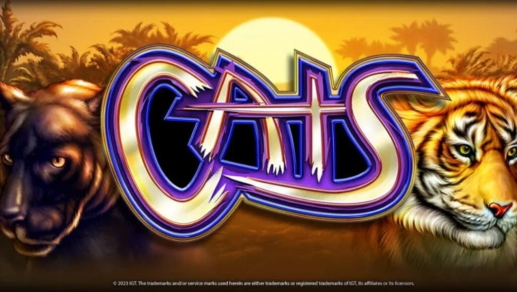 Discover the Top Reasons to Play Cats Slot