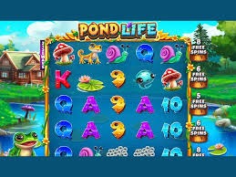 Pond Life