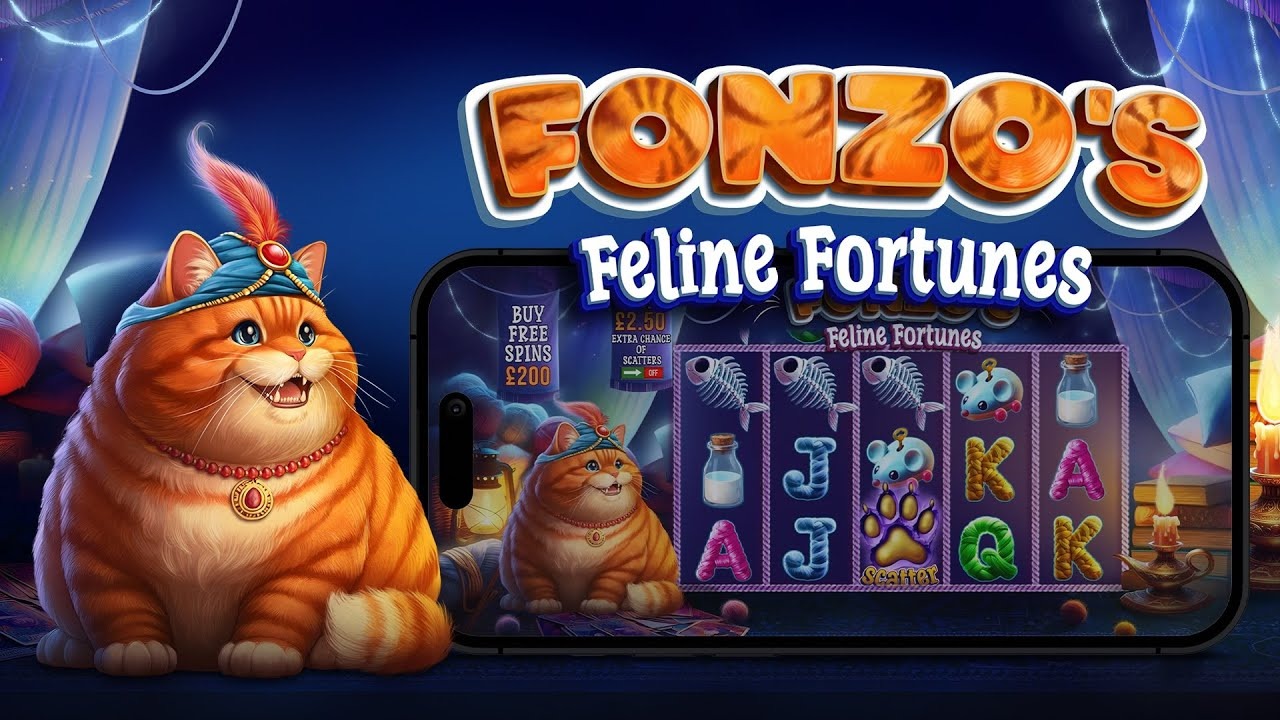Fonzo’s Feline Fortunes